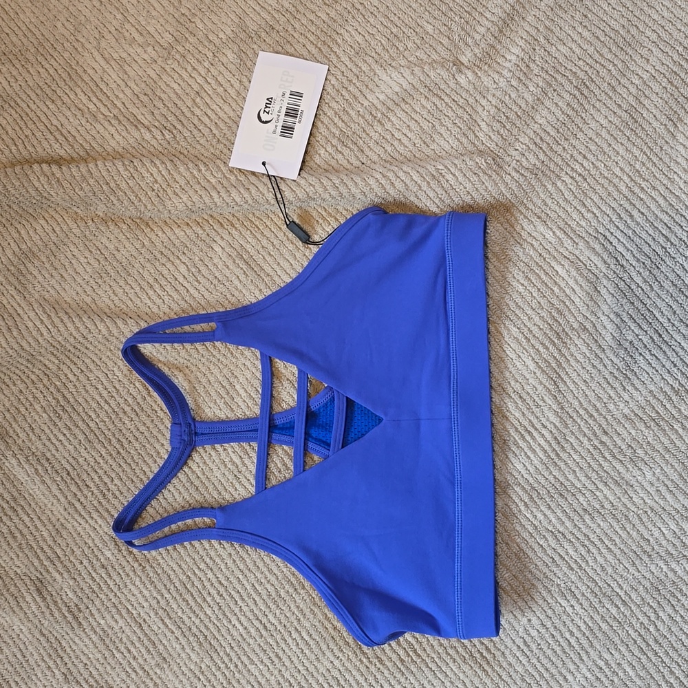 ZYIA Blue Grid Bra 2
